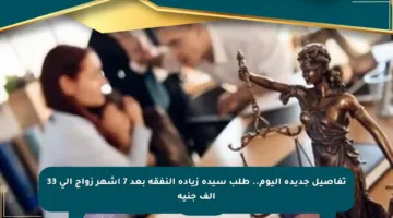 تفاصيل جديدة اليوم.. طلب سيدة زيادة النفقة بعد 7 أشهر زواج إلى 33 ألف جنيه